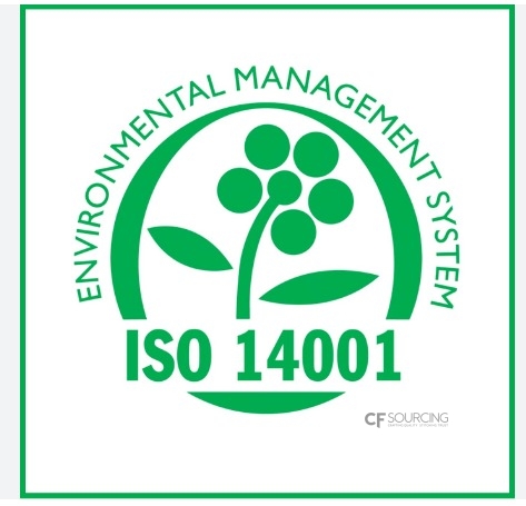 WhatsApp Image 2025-03-19 at 12.58.57 PM